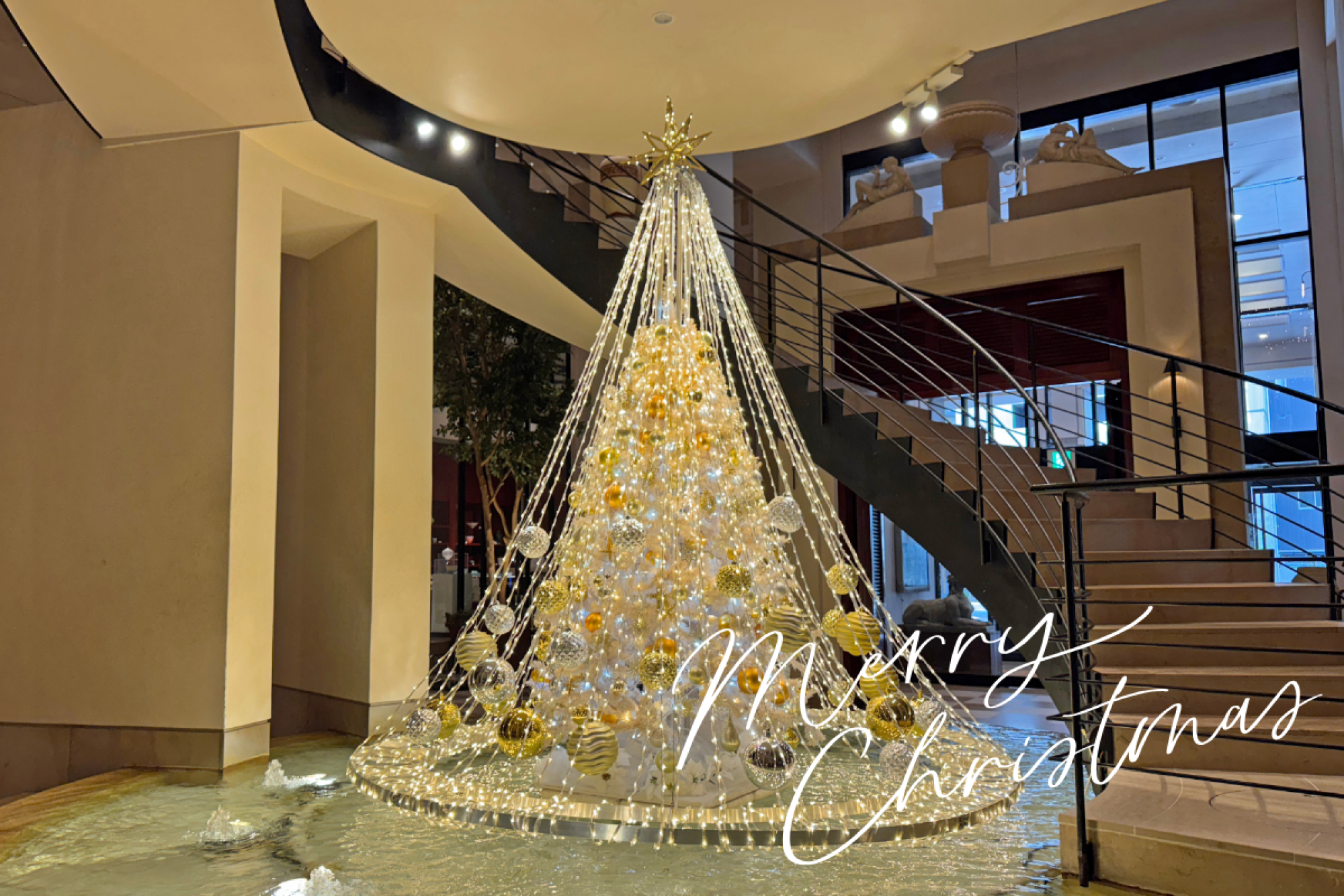 【新着】詳細ページ (2)